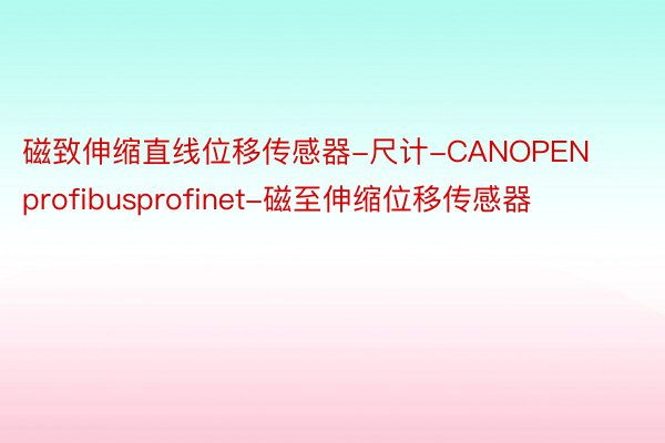 磁致伸缩直线位移传感器-尺计-CANOPENprofibusprofinet-磁至伸缩位移传感器